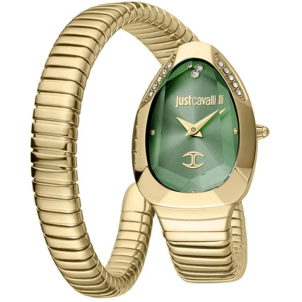 Just Cavalli JC1L208M0045 Kadın Kol Saati ürün görseli 1