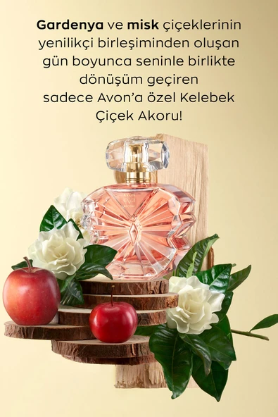 Eve Become Kadın Parfüm Edp 50 Ml. Üçlü Set - Resim 4