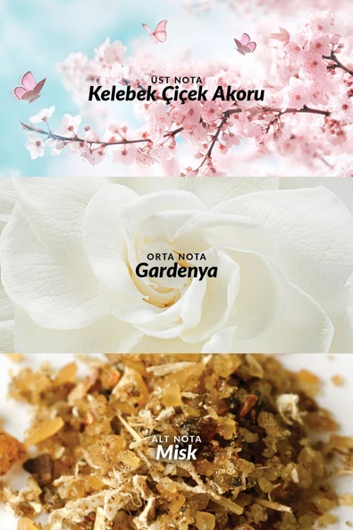 Eve Become Kadın Parfüm Edp 50 Ml. - Resim 3
