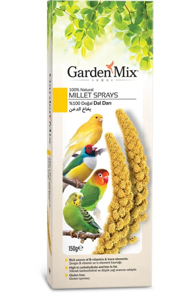 Platın Sarı Dal Darı ürün görseli 1