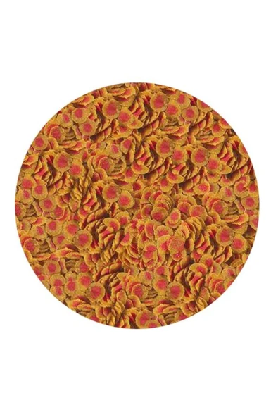 Pro Colour Kova 2,1 Kg - Resim 2