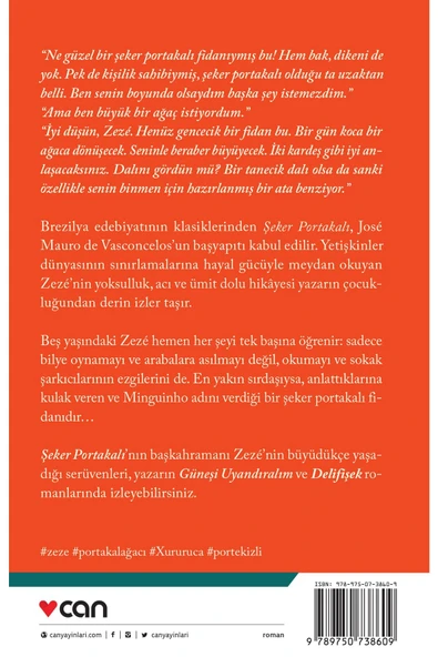 ŞEKER PORTAKALI - Resim 2