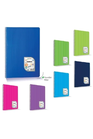 ÇINAR DİZAYN Çınar Colormaxi 80 Yp Kareli A4 Defter Spiralli Plastik Kapak 1 Ad Asorti ( Kırtasiye) ürün görseli 1