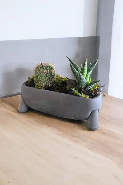 Fil Ayağı Dekoratif Taş Saksıda Mini Aranjman 01 - Resim 2