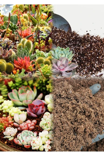 10 litre Süper Organik Kaktüs Toprağı (17 çeşit ağaç yaprağı ve 3 çeşit hayvan gübresi karışımı) ürün görseli 1