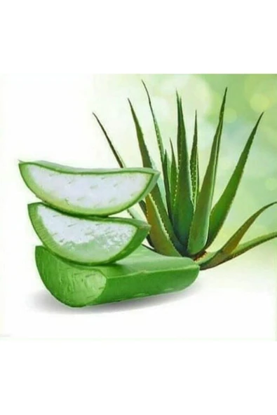 aloe vera gel unreine haut Santaverde aloe vera gel pur 100 ml – Feuchtigkeit & Beruhigung main image 0