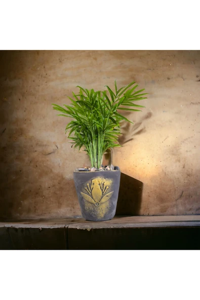 Hediyelik Bonsai Granit Çakıl Aranjmano - Resim 2