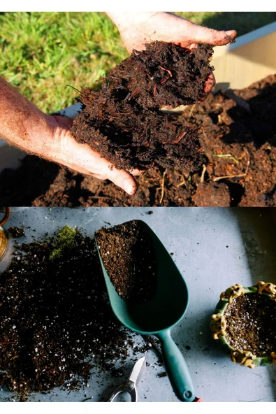5 litre Bonsai Toprağı %100 Organik ve Katkısız Torf 17 Bitkinin Çözülmesinden Oluşmuş ürün görseli 1