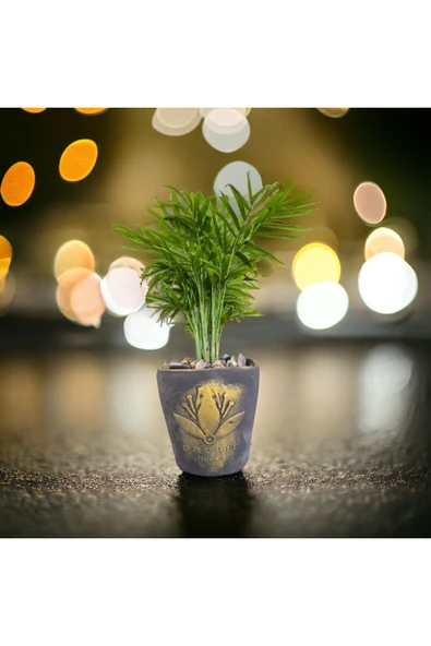 Hediyelik Bonsai Granit Çakıl Aranjmano ürün görseli 1