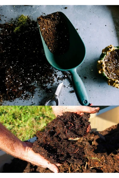 20 litre Bonsai Toprağı %100 Organik ve Katkısız Torf 17 Bitkinin Çözülmesinden Oluşmuş ürün görseli 1