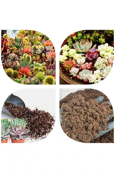 5 litre Süper Organik Kaktüs Toprağı (17 çeşit ağaç yaprağı ve 3 çeşit hayvan gübresi karışımı) ürün görseli 1