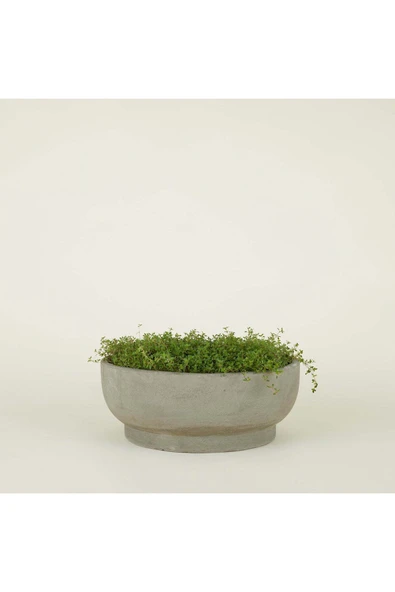 Çift Taban Bonsai, Orkide ve Aranjman Saksısı - Resim 3