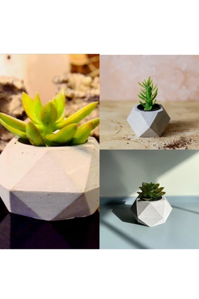 Geometrik Saksılarda 3 Adet Kaktüs ürün görseli 1
