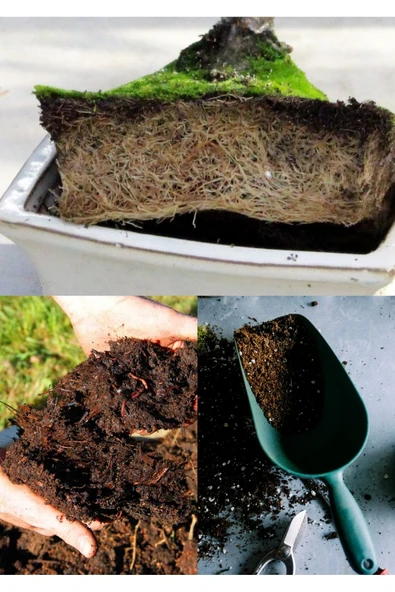 10 litre Bonsai Toprağı %100 Organik ve Katkısız Torf 17 Bitkinin Çözülmesinden Oluşmuş ürün görseli 1