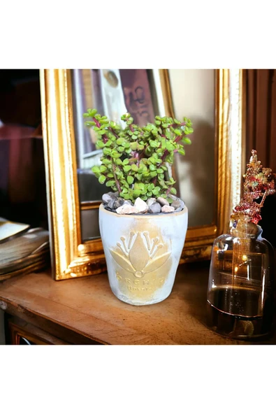Dekoratif Gold Taş Saksıda Bonsai Para Ağacı ürün görseli 1