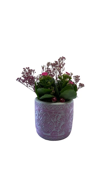 Dekoratif Saksıda Kalanchoe Şenliği ürün görseli 1