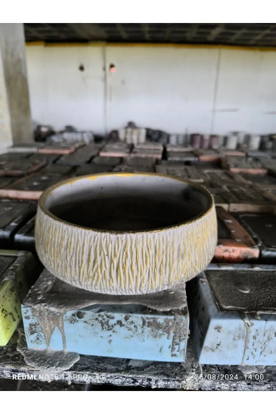 Beton orkide bonsai ve aranjman saksısı - Resim 2