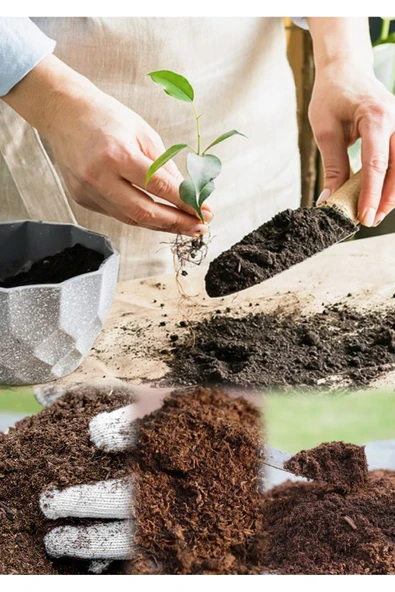 5 Litre Salon Bitkisi Toprağı Süper Organik 17 Çeşit Ağacın Yaprağı ve 3 Çeşit Doğal Gübrem Karışımı ürün görseli 1