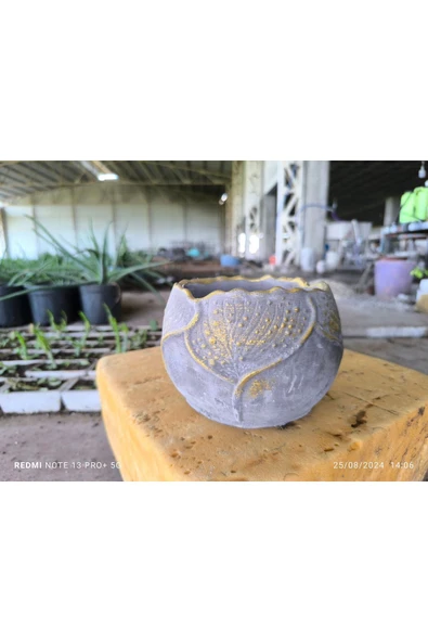 Yaprak desenli Beton orkide aranjman ve bonsai saksısı ürün görseli 1