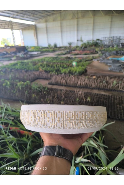Kahire dizayn taş Orkide bonsai ve aranjman saksısı no 2 ürün görseli 1