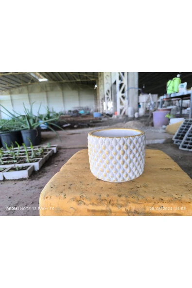 Beton orkide bonsai ve aranjman saksısı ürün görseli 1