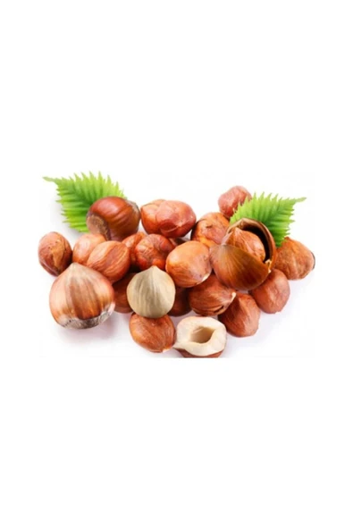 TALAS Kuruyemiş Çiğ Fındık İçi 250 G ürün görseli 1