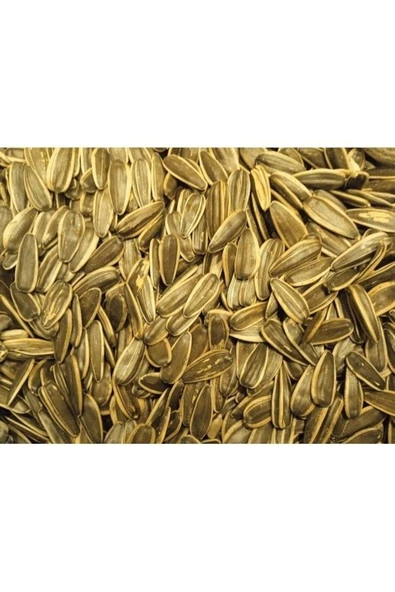 TALAS Kuruyemiş Kavrulmuş Ay Çekirdeği 250 G ürün görseli 1