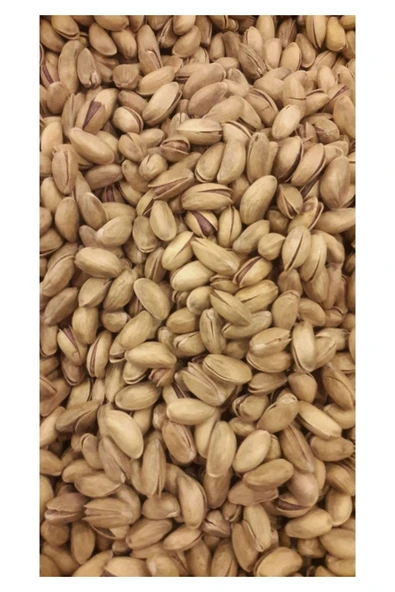 TALAS Kuruyemiş Orta Boy Antep Fıstığı 1 KG ürün görseli 1