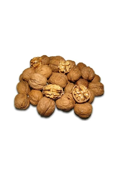 TALAS Kuruyemiş Gürün Kabuklu Ceviz 250 G ürün görseli 1