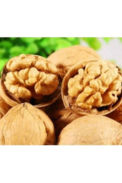 TALAS Kuruyemiş Kabuklu Ceviz 500 G ürün görseli 1