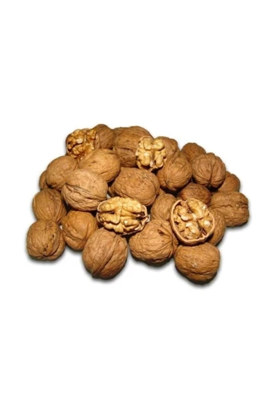 Talas Kuruyemiş Gürün Kabuklu Ceviz 2 KG ürün görseli 1