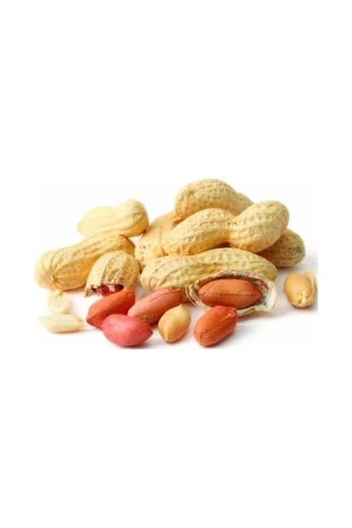 TALAS Kuruyemiş Kavrulmuş Kabuklu Yer Fıstığı 500 G ürün görseli 1