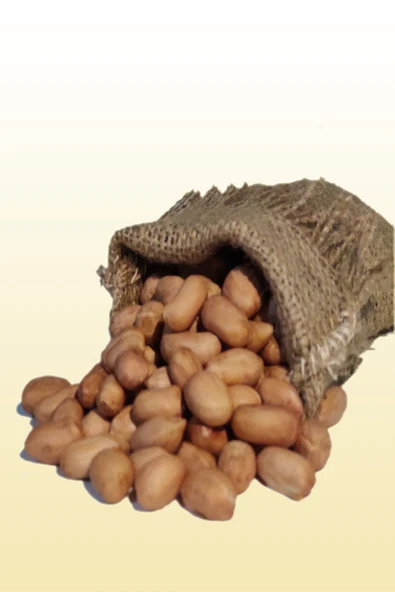 Talas Kuruyemiş Çiğ Yer Fıstığı İçi 500 G ürün görseli 1