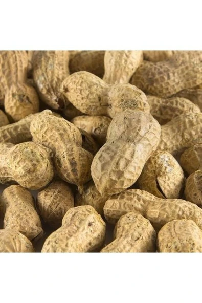 TALAS Kuruyemiş Çiğ Kabuklu Yer Fıstığı 1 KG ürün görseli 1