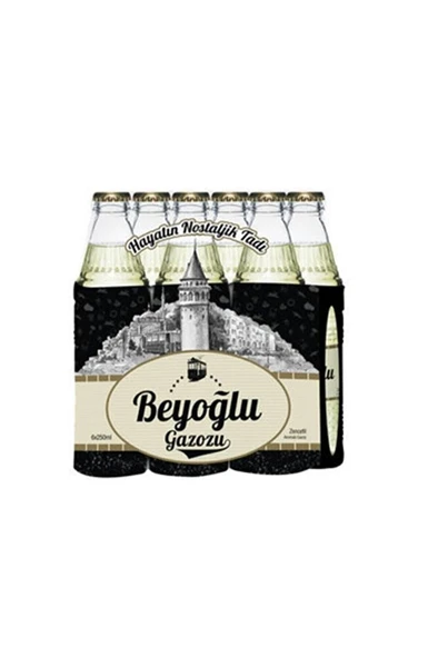 BEYOĞLU GAZOZU Gazoz Zencefil 24x250 ml ürün görseli 1