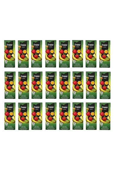 Atom Ballı Karışık Meyve Nektarı 200 Ml X 24 Adet ürün görseli 1