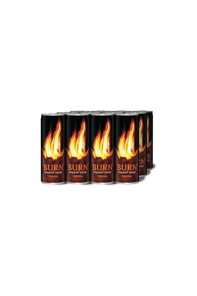 Enerji Içecegi 250 ml 12 Adet ürün görseli 1