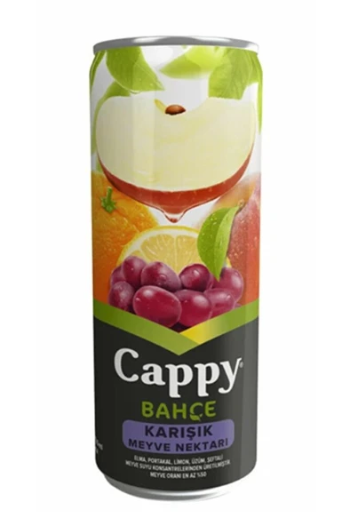 Karışık Meyve Nektarı Kutu 330 Ml 12'li Koli ürün görseli 1