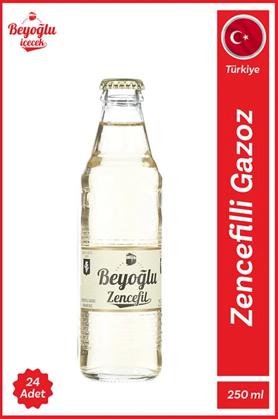 BEYOĞLU Beyoğlu Zencefilli Gazoz 24x250 ML ürün görseli 1