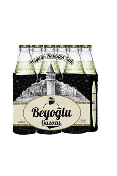 BEYOĞLU GAZOZU 6 Adet Beyoğlu Zencefilli Aromalı Gazoz 6x250 ml ürün görseli 1