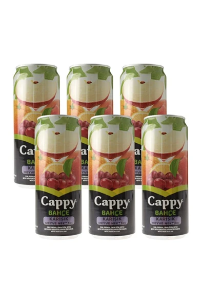 Bahçe Karışık Nektarı Meyve Suyu 330ml - 6 Adet ürün görseli 1