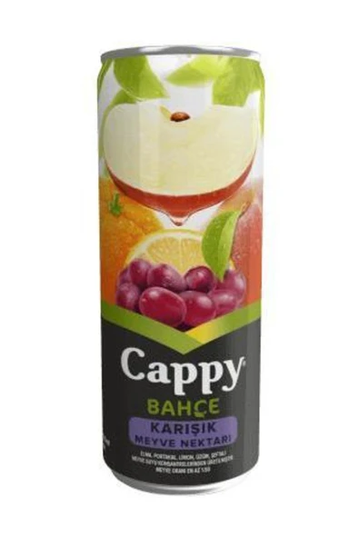 Meyve Suyu Karışık Kutu 330 Ml (12 Adet) ürün görseli 1
