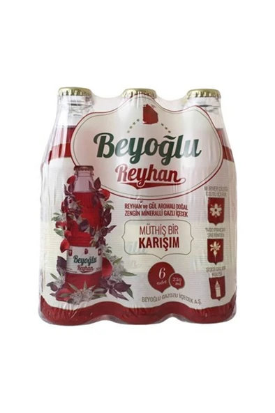 BEYOĞLU Gazoz Reyhan 6x250 ml ürün görseli 1
