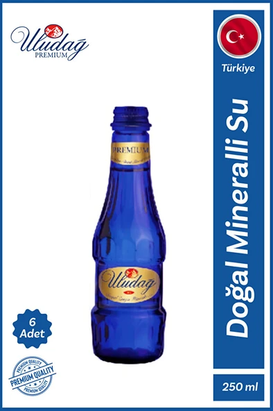 ULUDAĞ Premium Maden Suyu 6 x 250 ML ürün görseli 1
