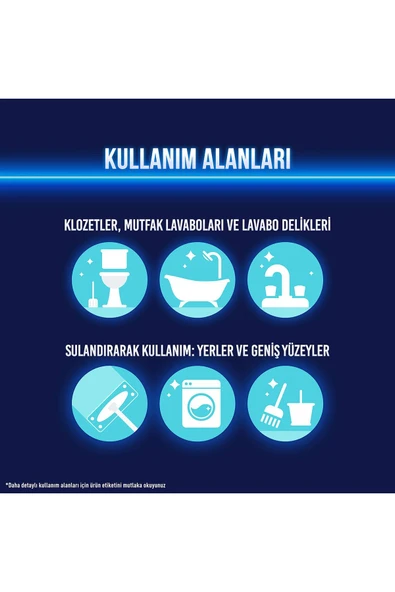 1989 GR DAĞ ESİNTİSİ - Resim 7