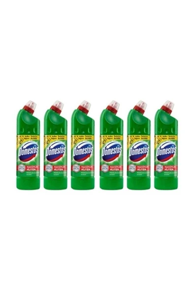 DOMESTOS Çamaşır Suyu Dağ Esintisi 6 Lı Set ürün görseli 1