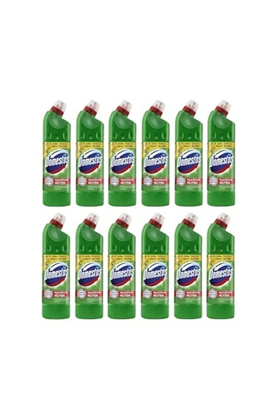 DOMESTOS Dağ Esintisi 750 ml X12 ürün görseli 1