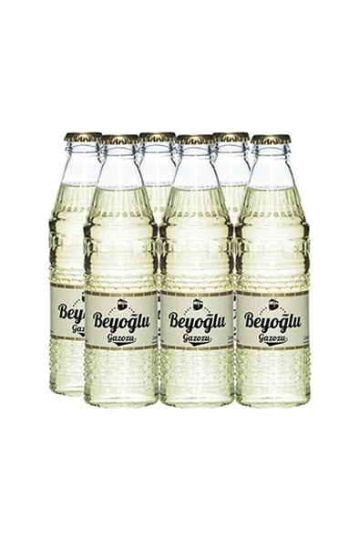 BEYOĞLU Zencefilli Gazoz 6 X 250 Ml 5 * Adet ürün görseli 1