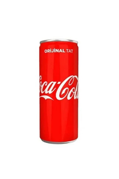 Coca Cola Kutu 250 ml ( 24 Adet ) ürün görseli 1