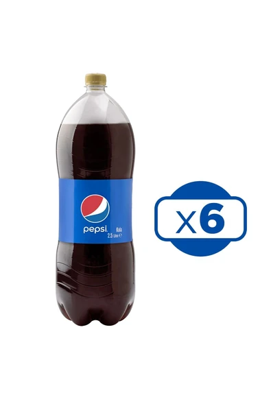 2,5 Lt 6'lı - Resim 2